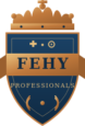 Fehy Professionals